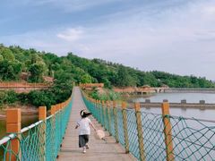 -中国西峡恐龙遗迹园