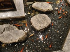 -南堂館川菜文化餐厅(天府店)
