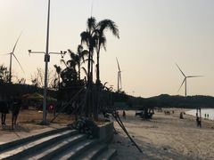 -汕尾风车岛