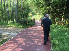 -紫金山山顶公园