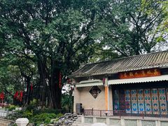 -荔湾湖公园