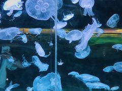 -台州海洋世界