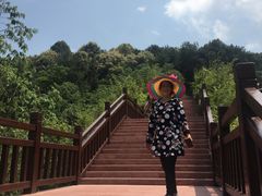 -铁山坪森林公园