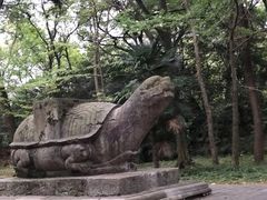 -灵谷景区