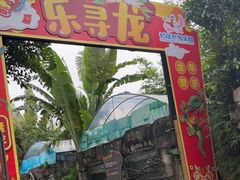 -广州长隆飞鸟乐园