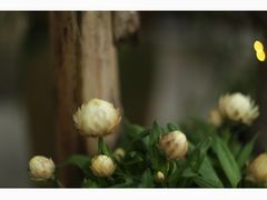 -行人小筑·茶馆(岑村火炉山分店)