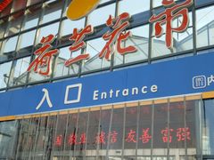 -荷兰花海
