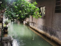 -小洲村
