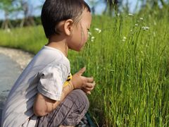 -春花秋色城市公园