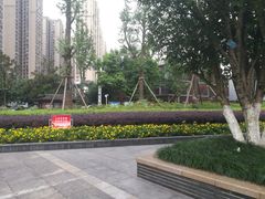 -龙头寺公园