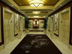 -拉斯维加斯永利酒店