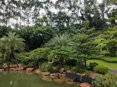 -南宁荔园维景国际酒店·荔园中餐厅