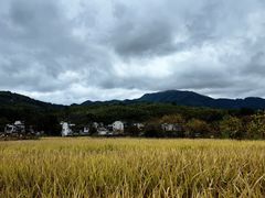-塔川景区