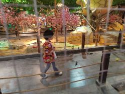 -酷嗒动物文化乐园(cutezoo西溪乐天城店)