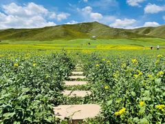 -扁都口生态休闲旅游区