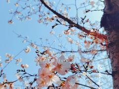 -永乐路-路侧停车场