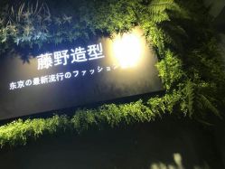 点击看大图 -藤野造型