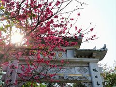 -乌山风景区