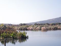-和顺古镇