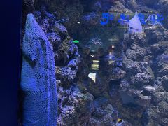 -海合安青岛极地海洋公园