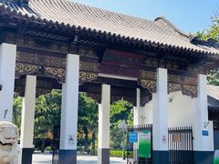 -团结湖公园