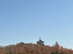 -西湖游船