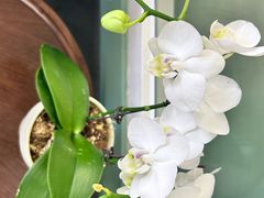 -南堂馆·新川菜(春熙路店)