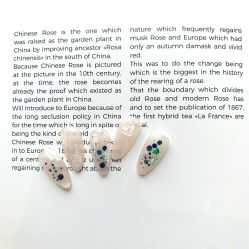 -BELLAREAL新美社