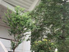 -天河体育中心