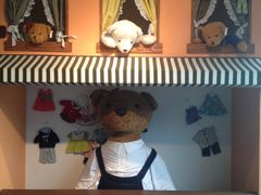 -济州岛泰迪熊博物馆