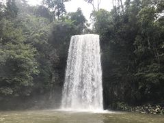 -热带雨林自然公园