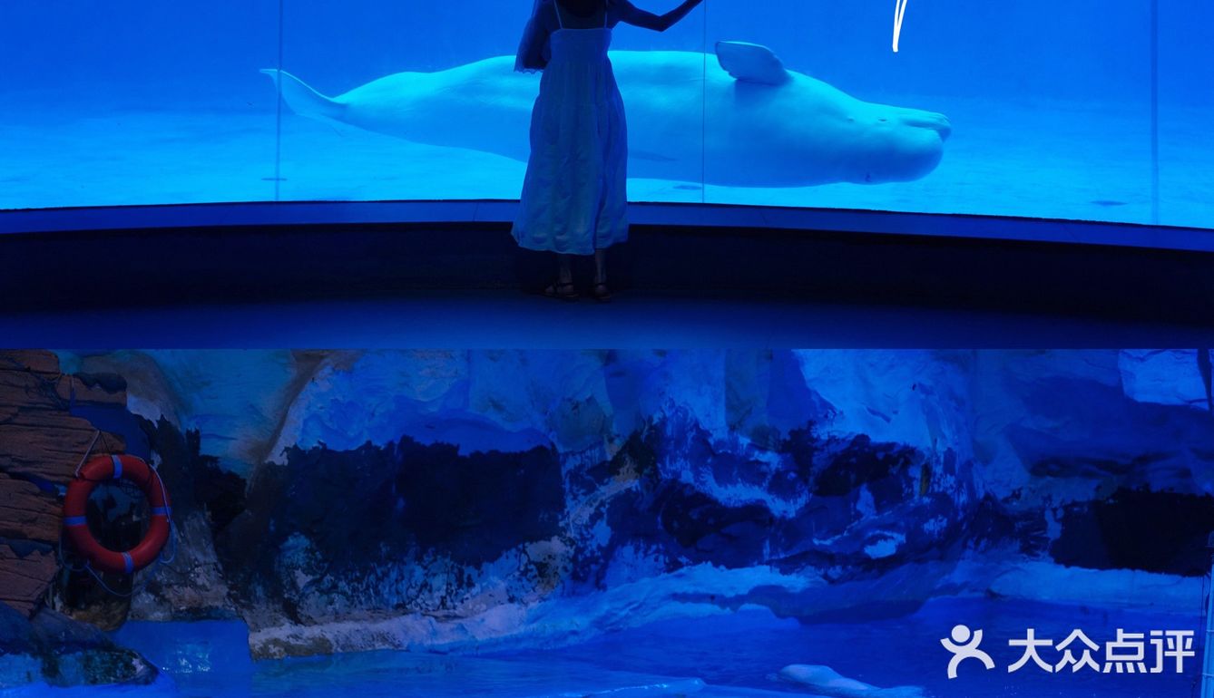 青岛｜盛夏的夜晚✨来一场海底之旅🐳✨