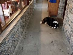 -湖鲜楼
