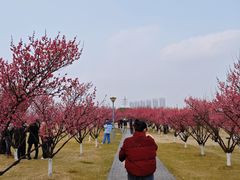 -长广溪湿地公园