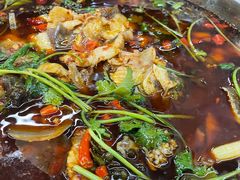 青花椒水煮三岔湖大花鲢-一品红烧鸭特色川菜(三岔湖店)