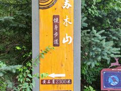 -苏木山森林公园