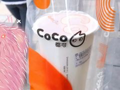 青稞可可牛奶-CoCo都可(昆百大店)