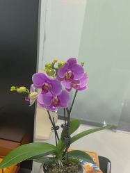 -时尚殿堂salon