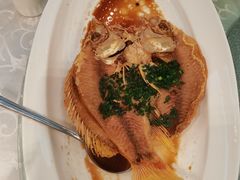 -锦江饭店锦北楼-锦江厅