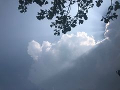 -阳台山自然风景区