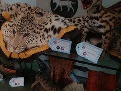 -纽瓦克自由国际机场