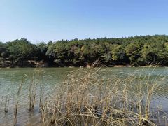 -南京市无想山景区