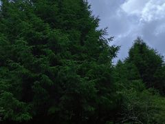 -硗碛藏寨·神木垒景区