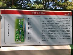 -玲珑塔公园