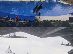 游乐设施-上海海昌海洋公园