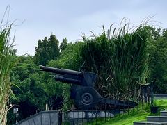 -上海吴淞炮台湾国家湿地公园