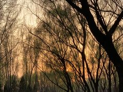 -森林公园(尖草坪区)