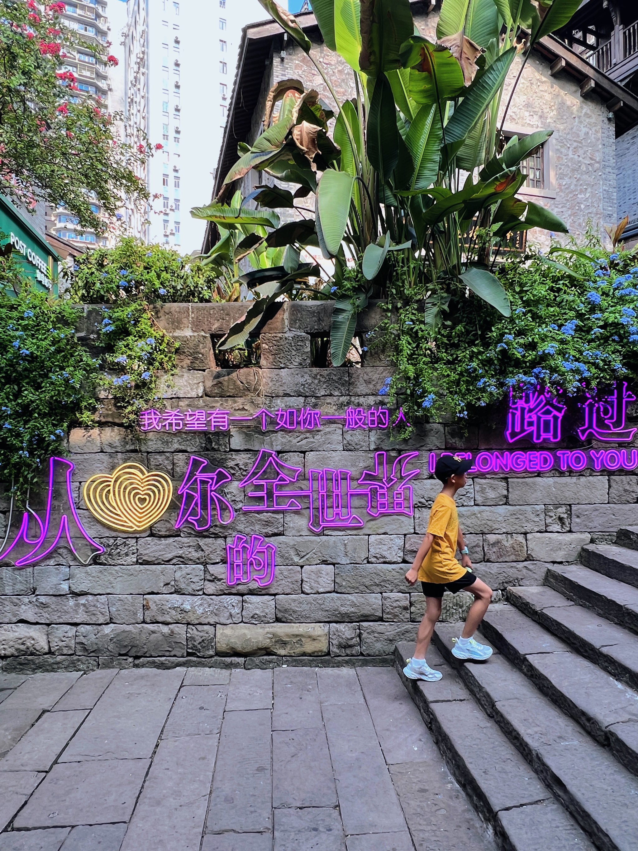 从你的全世界路过地方