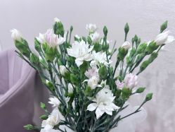 -郡艺医疗美容·微整·眼鼻吸脂