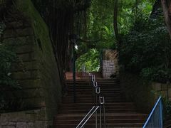 -九龙公园
